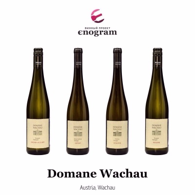 Domane Wachau - новый производитель в винном портфеле Enogram