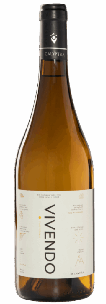 Vivendo Chardonnay 